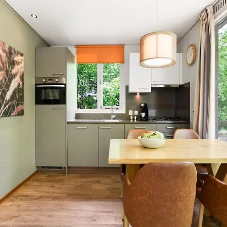 Holiday home Luxury With Sauna, Near The Great Veluwe Putten